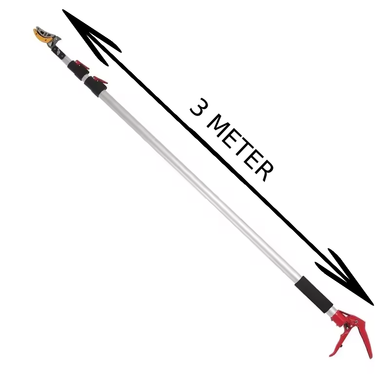 Forbici per frutta - immagine 4