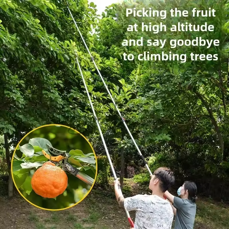 Forbici per frutta - immagine 8