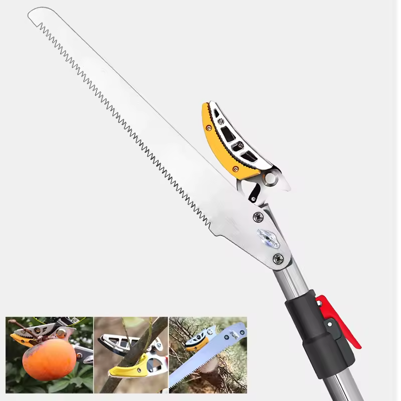 Forbici per frutta - immagine 9